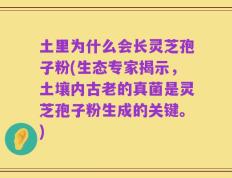 土里为什么会长灵芝孢子粉(生态专家揭示，土壤内古老的真菌是灵芝孢子粉生成的关键。)