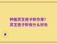 种植灵芝孢子粉作用？灵芝孢子粉有什么好处