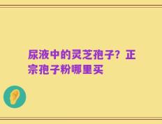 尿液中的灵芝孢子？正宗孢子粉哪里买