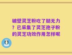 破壁灵芝粉吃了腿无力？已采集了灵芝孢子粉的灵芝功效作用怎样呢