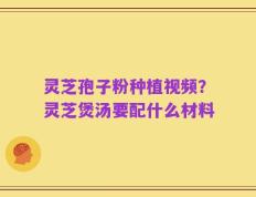 灵芝孢子粉种植视频？灵芝煲汤要配什么材料