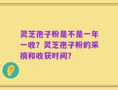 灵芝孢子粉是不是一年一收？灵芝孢子粉的采摘和收获时间？