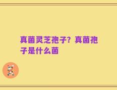 真菌灵芝孢子？真菌孢子是什么菌