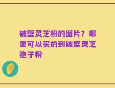 破壁灵芝粉的图片？哪里可以买的到破壁灵芝孢子粉