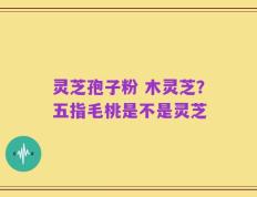 灵芝孢子粉 木灵芝？五指毛桃是不是灵芝