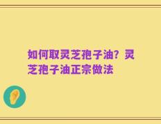 如何取灵芝孢子油？灵芝孢子油正宗做法