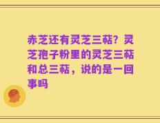 赤芝还有灵芝三萜？灵芝孢子粉里的灵芝三萜和总三萜，说的是一回事吗