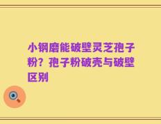 小钢磨能破壁灵芝孢子粉？孢子粉破壳与破壁区别