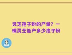 灵芝孢子粉的产量？一棵灵芝能产多少孢子粉