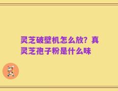 灵芝破壁机怎么放？真灵芝孢子粉是什么味