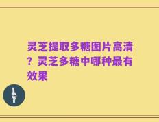 灵芝提取多糖图片高清？灵芝多糖中哪种最有效果