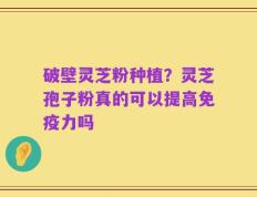 破壁灵芝粉种植？灵芝孢子粉真的可以提高免疫力吗