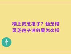 楼上灵芝孢子？仙芝楼灵芝孢子油效果怎么样