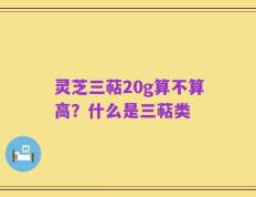 灵芝三萜20g算不算高？什么是三萜类