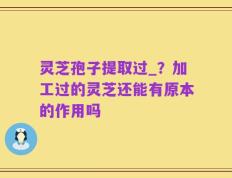 灵芝孢子提取过_？加工过的灵芝还能有原本的作用吗