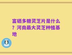 富硒多糖灵芝片是什么？河南最大灵芝种植基地