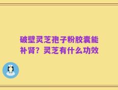 破壁灵芝孢子粉胶囊能补肾？灵芝有什么功效
