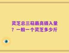 灵芝总三萜最高摄入量？一般一个灵芝多少斤