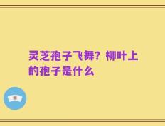 灵芝孢子飞舞？柳叶上的孢子是什么