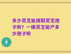 多少灵芝能提取灵芝孢子粉？一棵灵芝能产多少孢子粉