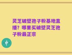 灵芝破壁孢子粉基地直播？哪里买破壁灵芝孢子粉最正宗