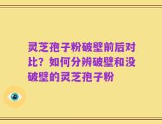 灵芝孢子粉破壁前后对比？如何分辨破壁和没破壁的灵芝孢子粉