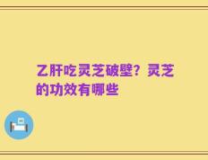 乙肝吃灵芝破壁？灵芝的功效有哪些