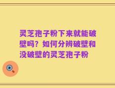 灵芝孢子粉下来就能破壁吗？如何分辨破壁和没破壁的灵芝孢子粉