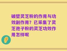 破壁灵芝粉的作用与功效副作用？已采集了灵芝孢子粉的灵芝功效作用怎样呢