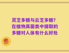灵芝多糖与云芝多糖？在植物真菌类中提取的多糖对人体有什么好处