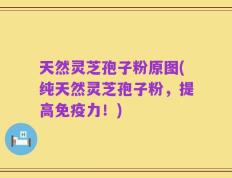 天然灵芝孢子粉原图(纯天然灵芝孢子粉，提高免疫力！)