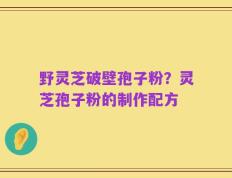 野灵芝破壁孢子粉？灵芝孢子粉的制作配方