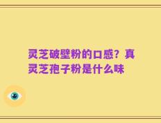 灵芝破壁粉的口感？真灵芝孢子粉是什么味