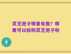 灵芝孢子哪里有售？哪里可以收购灵芝孢子粉