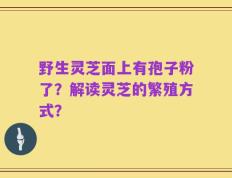 野生灵芝面上有孢子粉了？解读灵芝的繁殖方式？