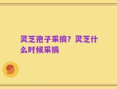 灵芝孢子采摘？灵芝什么时候采摘