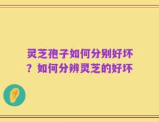 灵芝孢子如何分别好坏？如何分辨灵芝的好坏