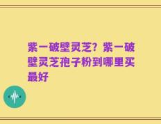 紫一破壁灵芝？紫一破壁灵芝孢子粉到哪里买最好