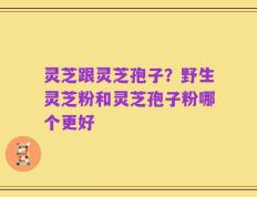 灵芝跟灵芝孢子？野生灵芝粉和灵芝孢子粉哪个更好
