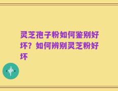 灵芝孢子粉如何鉴别好坏？如何辨别灵芝粉好坏