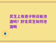 灵芝上有孢子粉还能泡酒吗？野生灵芝如何泡酒喝