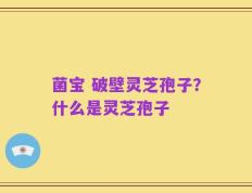 菌宝 破壁灵芝孢子？什么是灵芝孢子