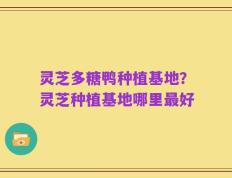 灵芝多糖鸭种植基地？灵芝种植基地哪里最好