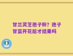 甘兰灵芝孢子粉？孢子甘蓝开花后才结果吗
