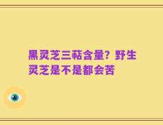 黑灵芝三萜含量？野生灵芝是不是都会苦