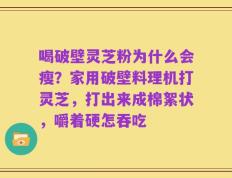 喝破壁灵芝粉为什么会瘦？家用破壁料理机打灵芝，打出来成棉絮状，嚼着硬怎吞吃