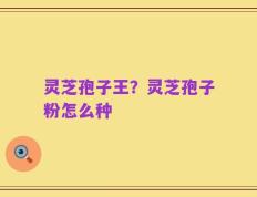 灵芝孢子王？灵芝孢子粉怎么种