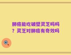 肺癌能吃破壁灵芝吗吗？灵芝对肺癌有奇效吗