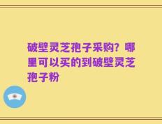 破壁灵芝孢子采购？哪里可以买的到破壁灵芝孢子粉