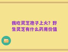 我吃灵芝孢子上火？野生灵芝有什么药用价值